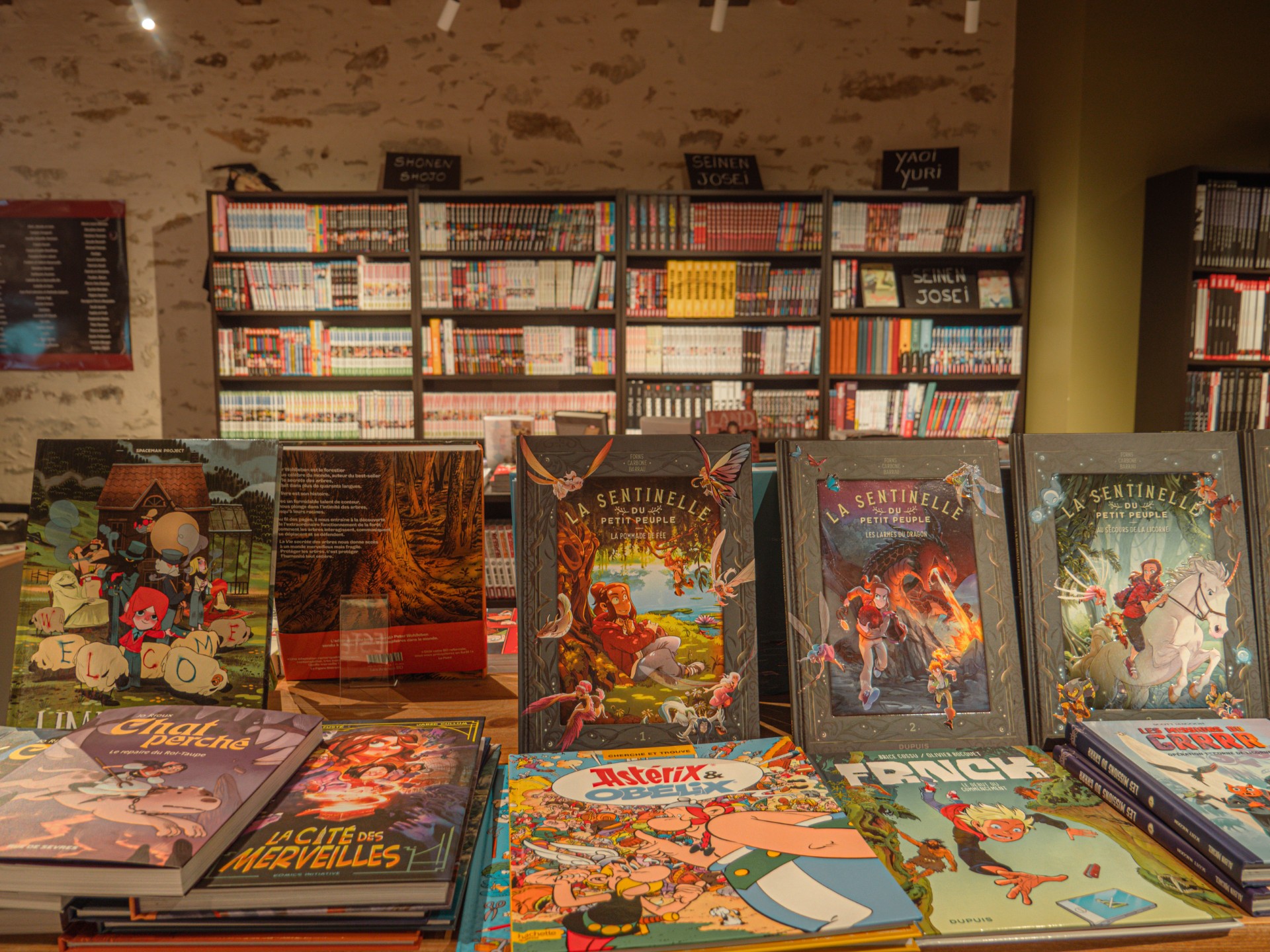 L'Odyssée Bulle (1)